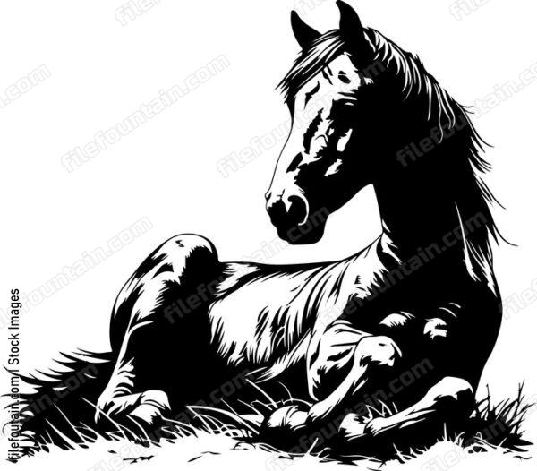 Horse Lying Down