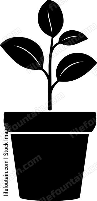 house plant pot