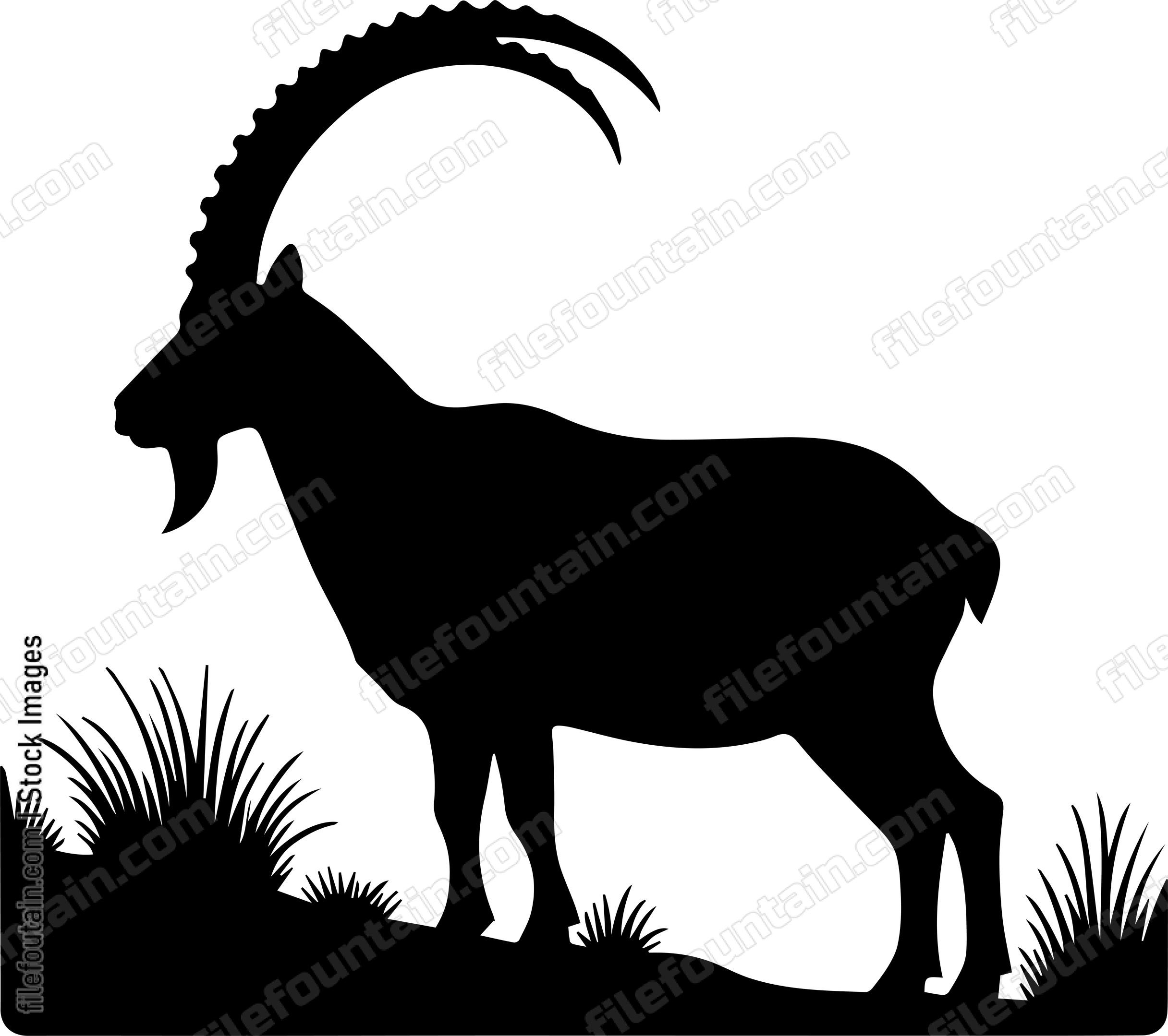 Ibex