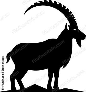 Ibex
