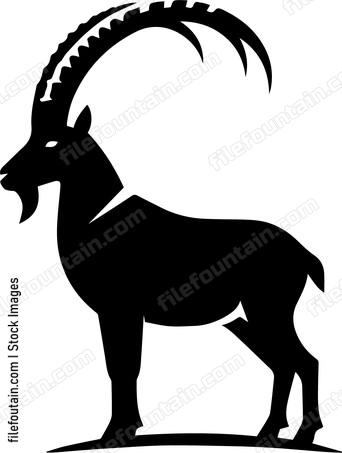 Ibex