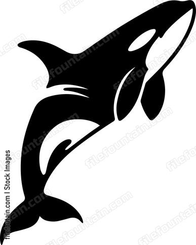 Killer Whale