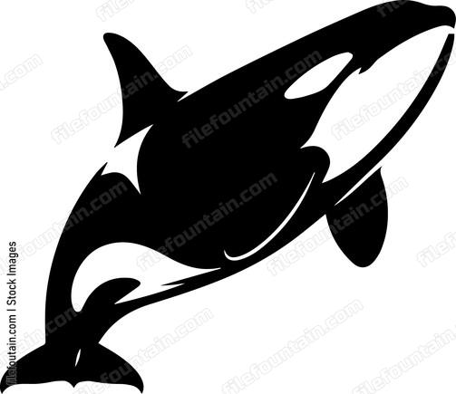 Killer Whale