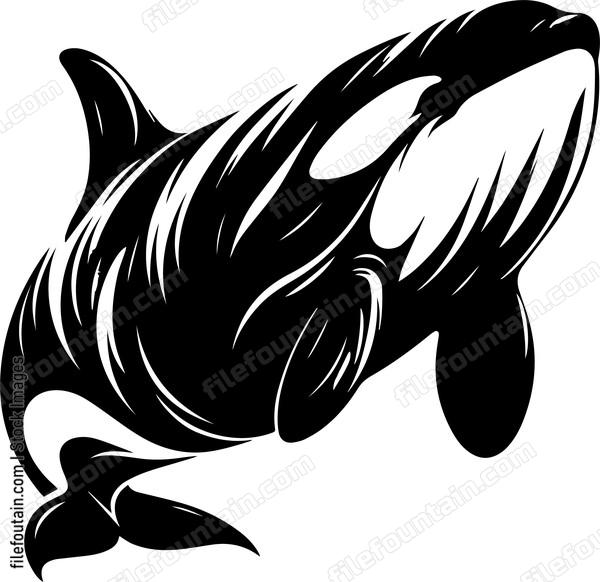 Killer Whale
