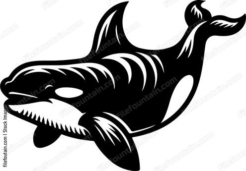 Killer Whale