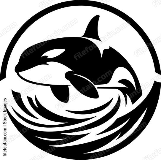 Killer Whale