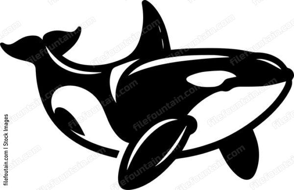 Killer Whale