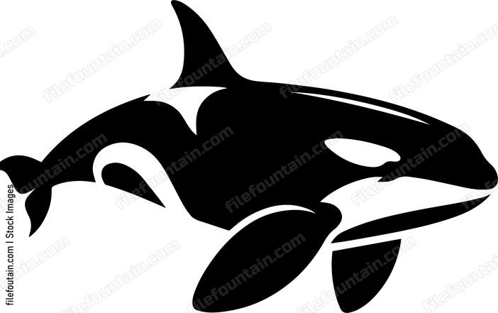 Killer Whale