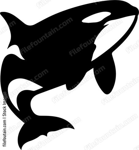 Killer Whale