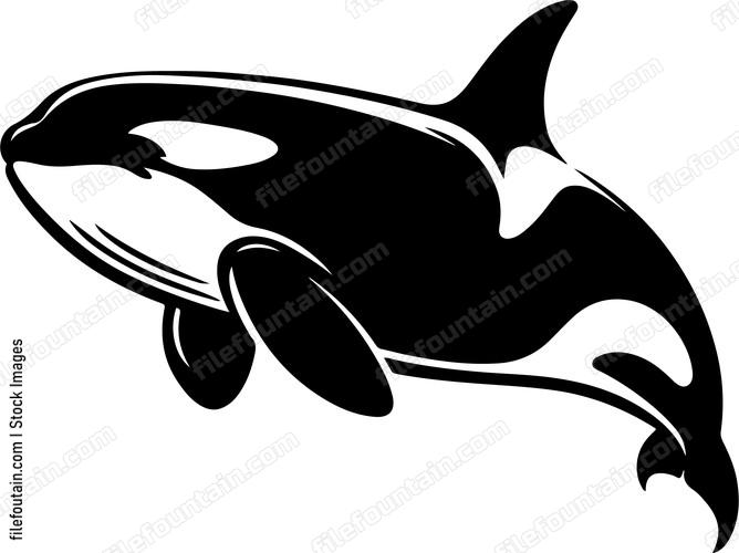 Killer Whale