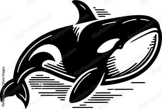 Killer Whale