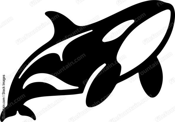 Killer Whale