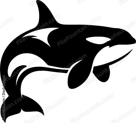 Killer Whale