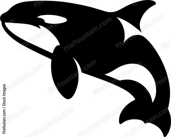 Killer Whale