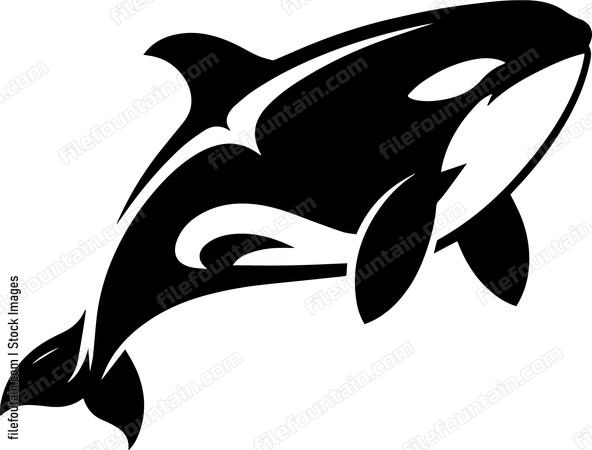 Killer Whale