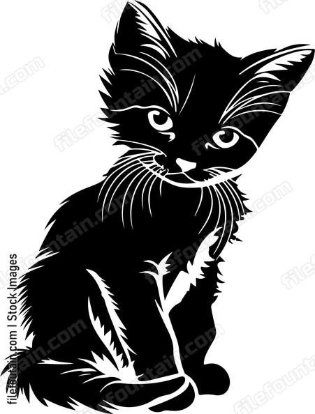 Kitten Playing