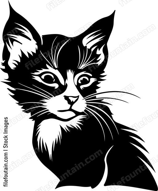 Kitten Staring