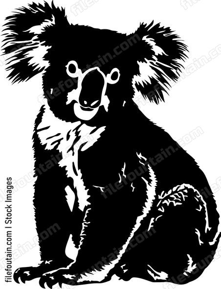 Koala
