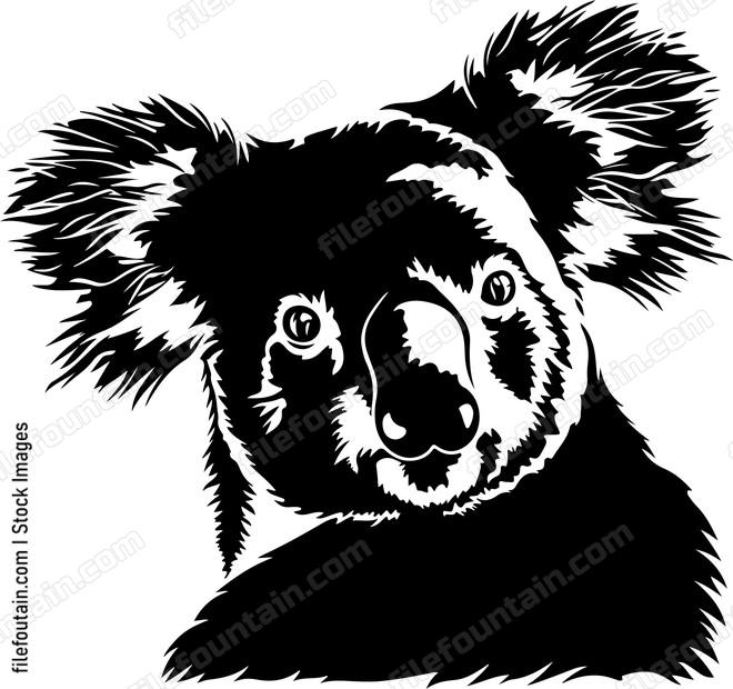 Koala Bear Head