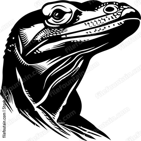 Komodo dragon head