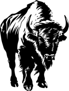 Large north american wild ox