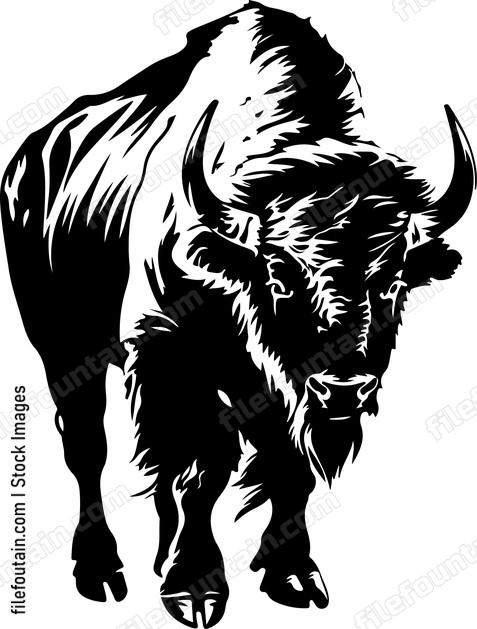 Large north american wild ox