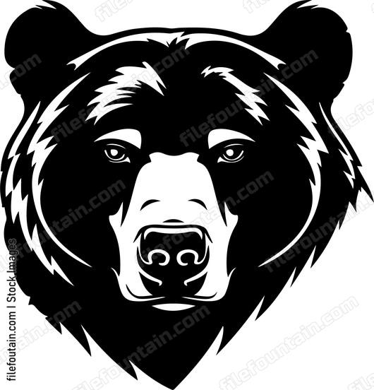 Large wild carnivorous bear