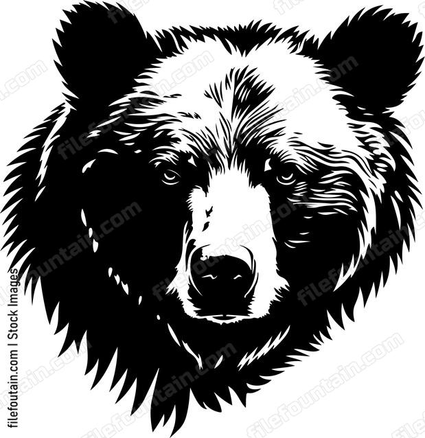 Large wild carnivorous bear