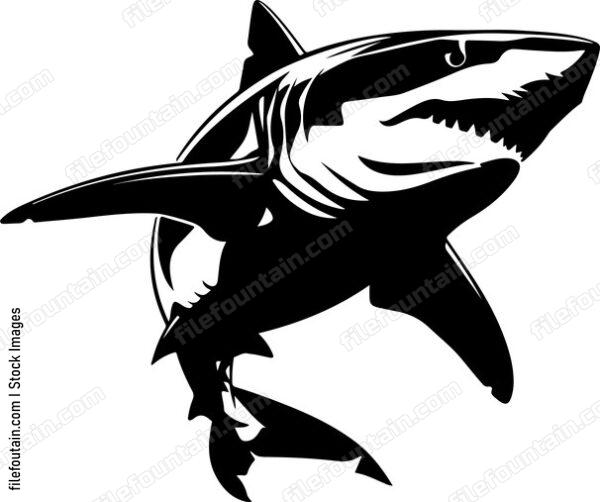 Lazer Shark