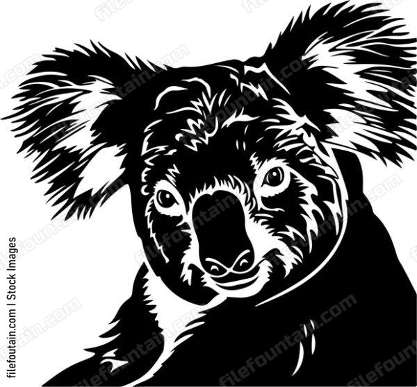 Lazy Koala