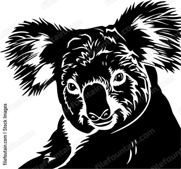 Lazy Koala