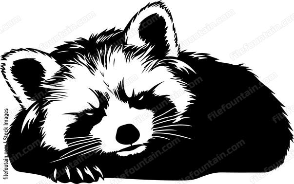 Lazy Red Panda