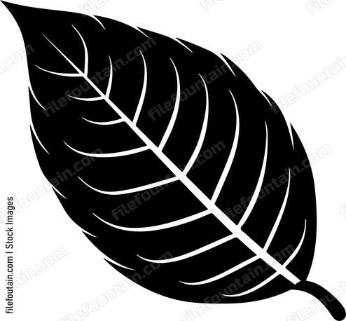 Leaf