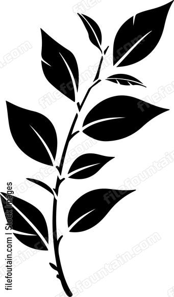Leaf Branch