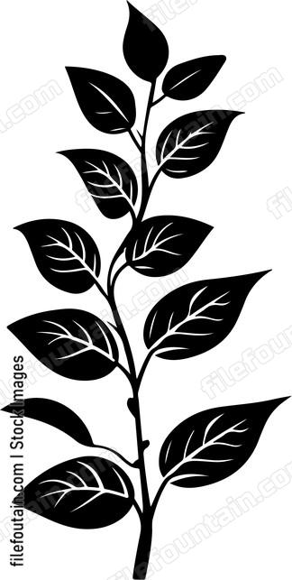 Leaf Branch