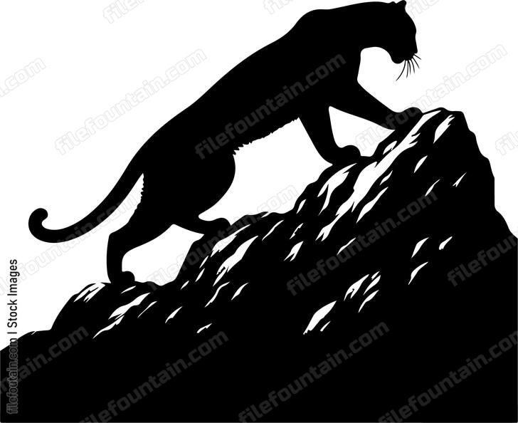 Leopard climbing a rocky outcrop with agility