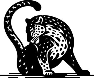 Leopard grooming its sleek fur after a rain shower