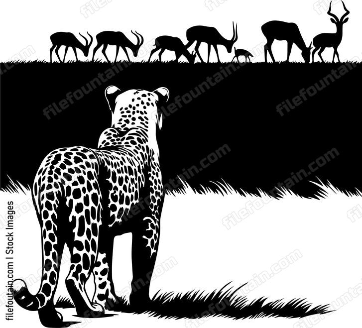 Leopard observing a distant herd of antelopes with interest
