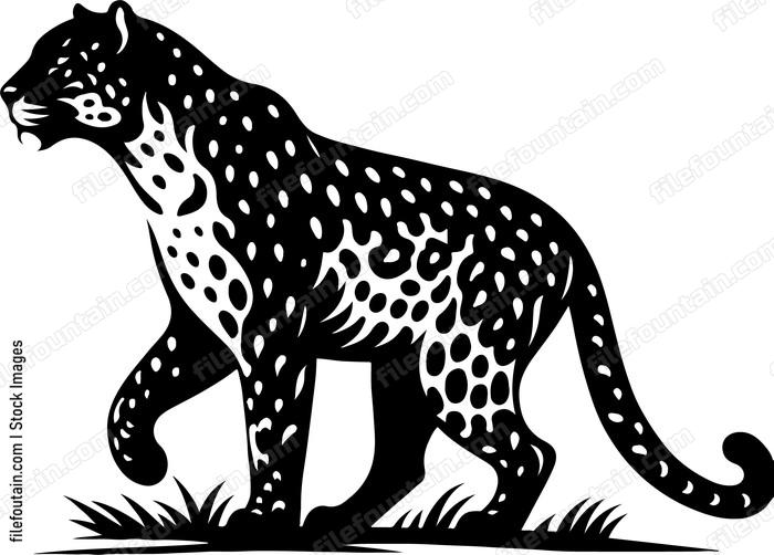 Leopard playing a pivotal role in its ecosystem