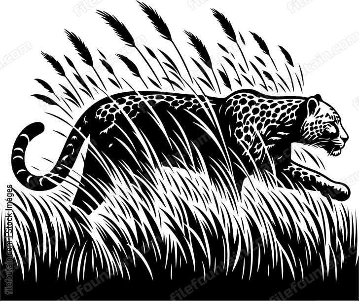 Leopard prowling stealthily through tall grass