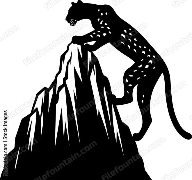 Leopard showcasing its climbing prowess on a rocky cliff