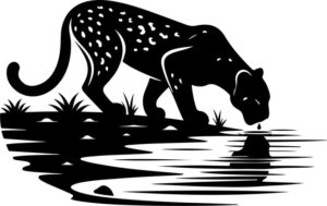 Leopard stealthily approaching a water source for a drink