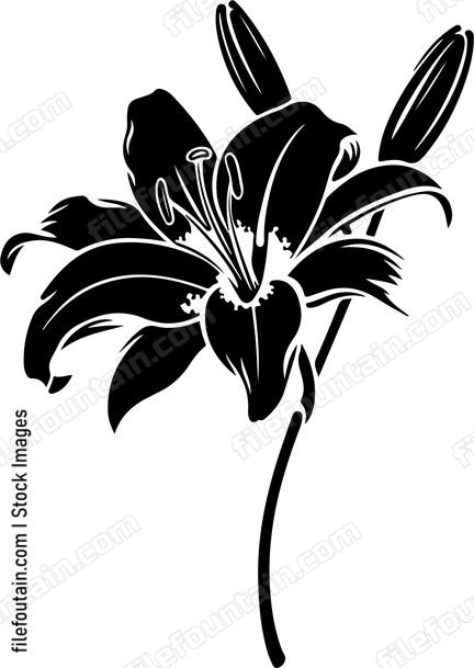 Lily Flower