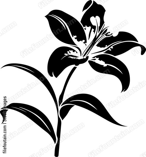 Lily Flower