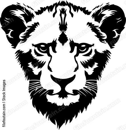 Lion Cub