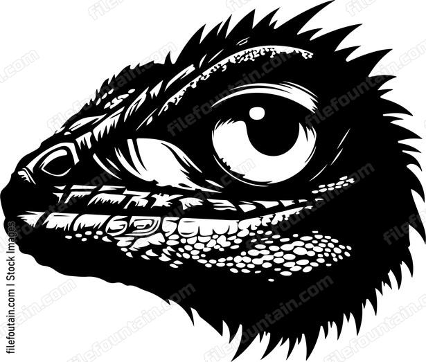 Lizard Eye