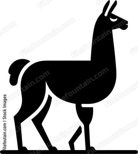 llama