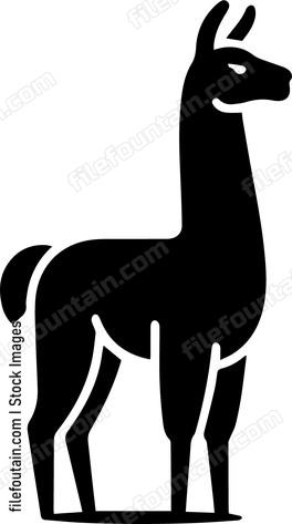llama