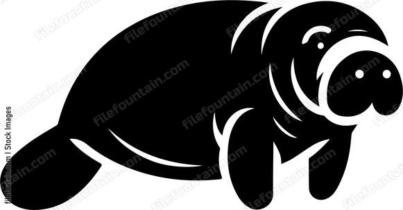 Manatee