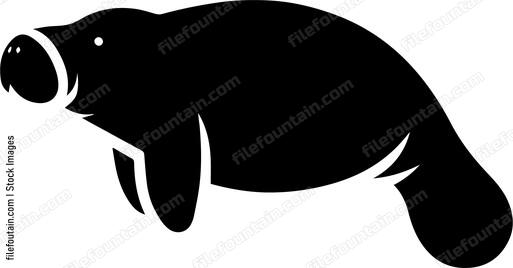 Manatee